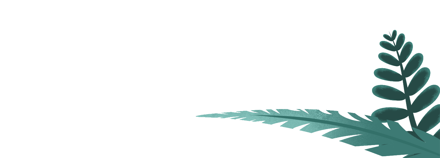fond décoratif